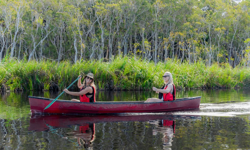 Noosa Everglades Explorer Cruise - 5 Hours y0yJTK1s