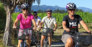 Half Day Guided Biking Wine Tour bJCwLp3B