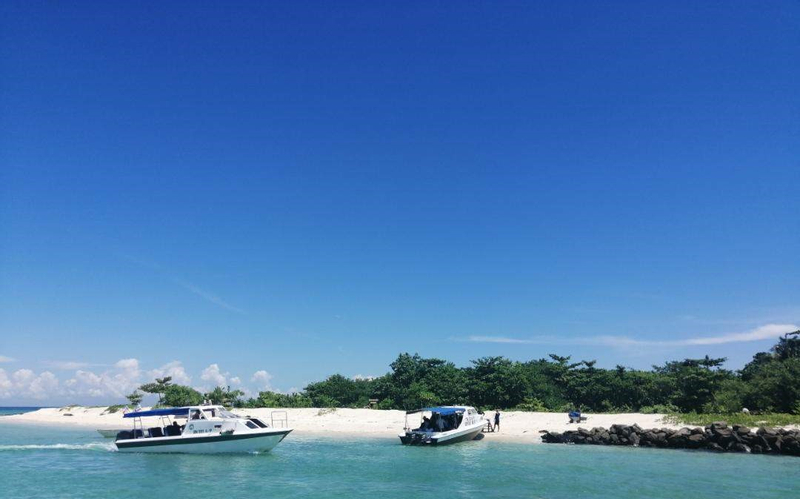 2D1N Selingan Turtle Island with Turtle Watching at Sandakan HmUykBdb