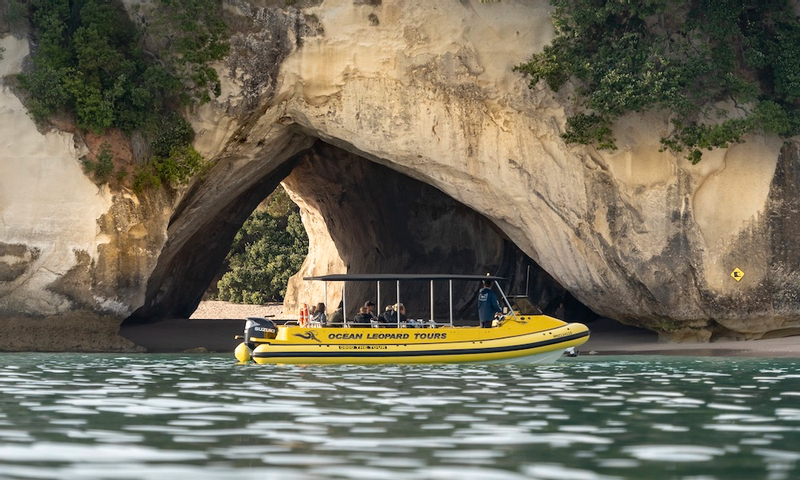 Cathedral Cove Boat Tour GtLpqbNK