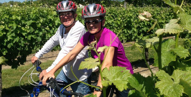 Full Day Deluxe Guided Biking Wine Tour D6QlqO43