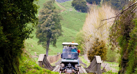 Full Day 20 Tunnel Rail Cart Experience u8ZuHABW