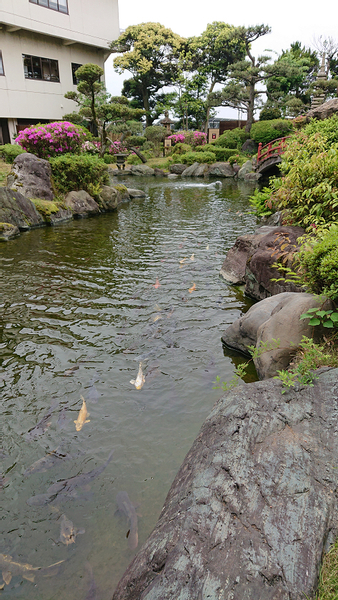 Fukui Awara Onsen Hot Spring & Matcha Experience Tour 9YWqyXq6