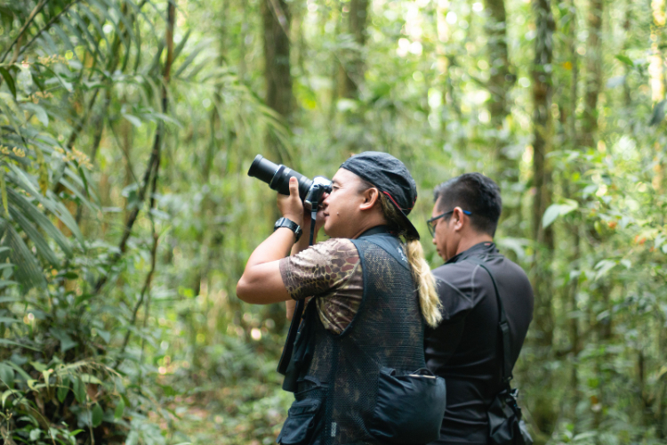 Full day / 2D1N Birding @ KNP & Poring FFDzorhE