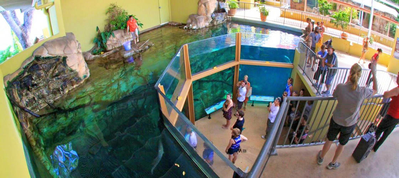 Crocosaurus Cove General Admission Tickets UggEHUqL