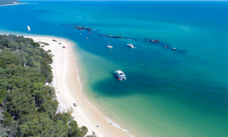 Moreton Island Dolphin Spotting and Snorkelling Cruise departing from Redcliffe QnhLhd73