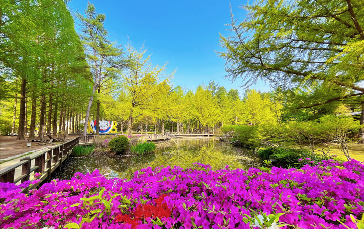 Nami Island Round Trip Bus yQXRxbDd