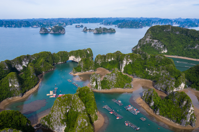 Premier Halong Bay Day Tour with Standard Cruise eWyqkrQj