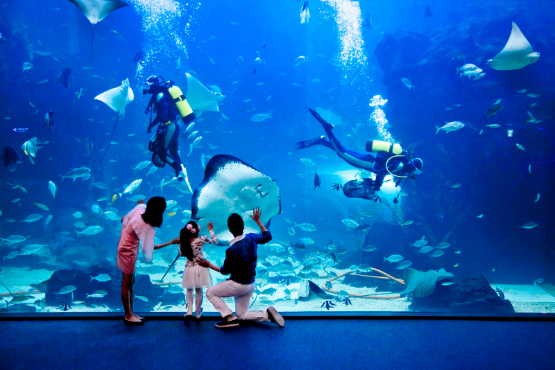 Aqua Planet Ticket in Ilsan Rw1Eo83r