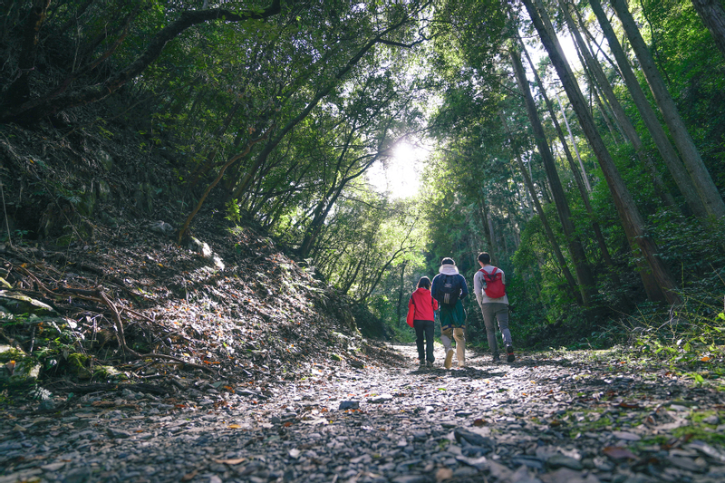 Fushimi Inari Hidden Hiking Tour : Escape the Crowds 6FZKgMCT
