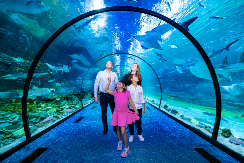 The National Aquarium Abu Dhabi Ticket tKlJ9WTe