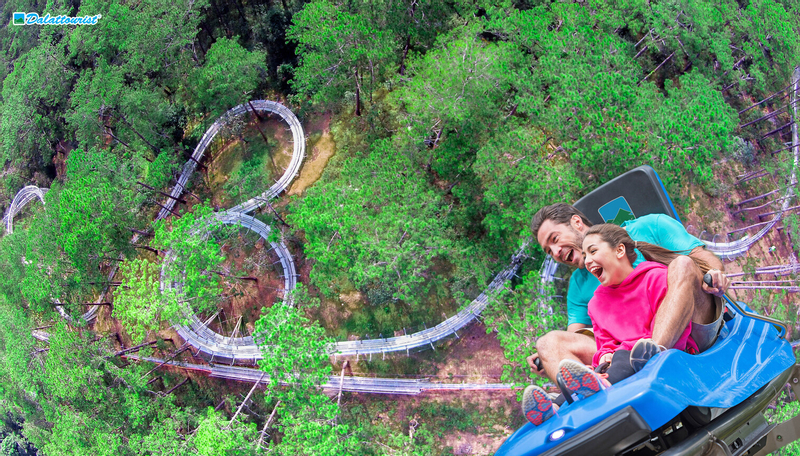 Datanla New Alpine Coaster Experience GOabGZFX