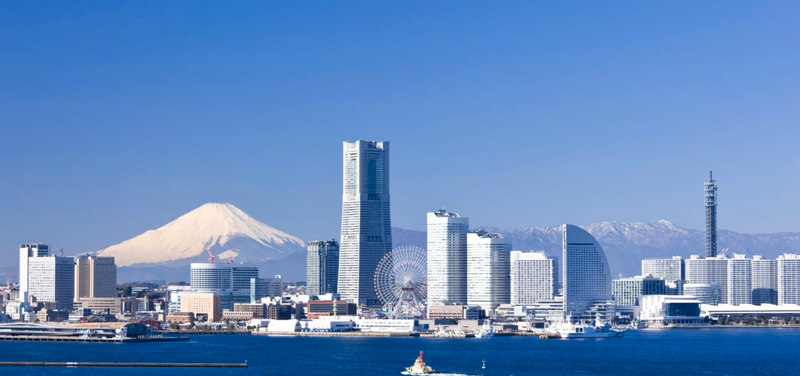 Yokohama Half-Day Private City Highlights Tour ztVPWmyd