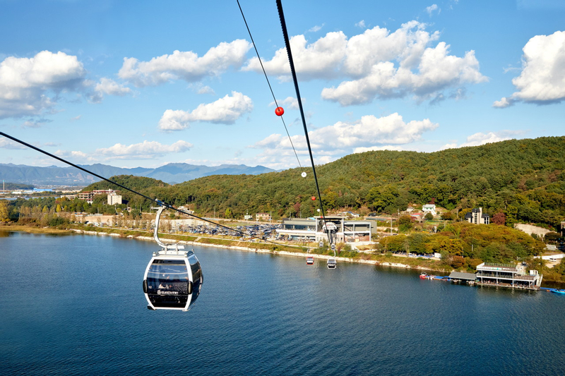 Alpaca+LEGOLAND+Nami Island+RailBike+Morning Calm Private Tour uv1ksYP9