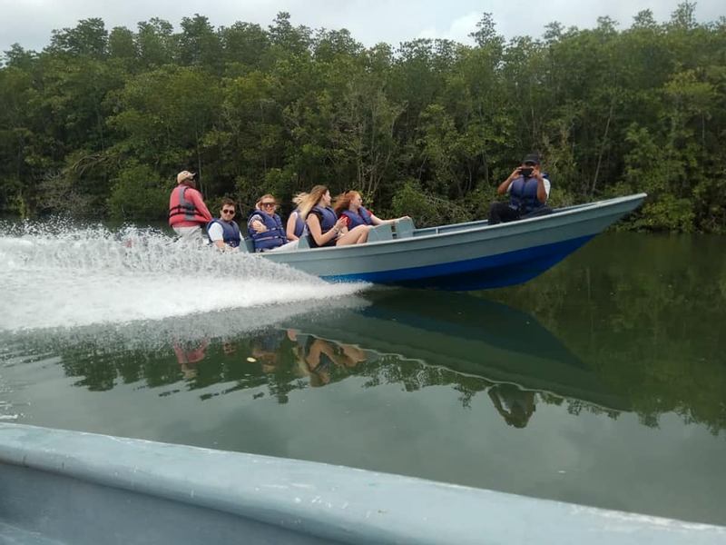 Mangrove or Fireflies Tour in Bintan mlWQ341q