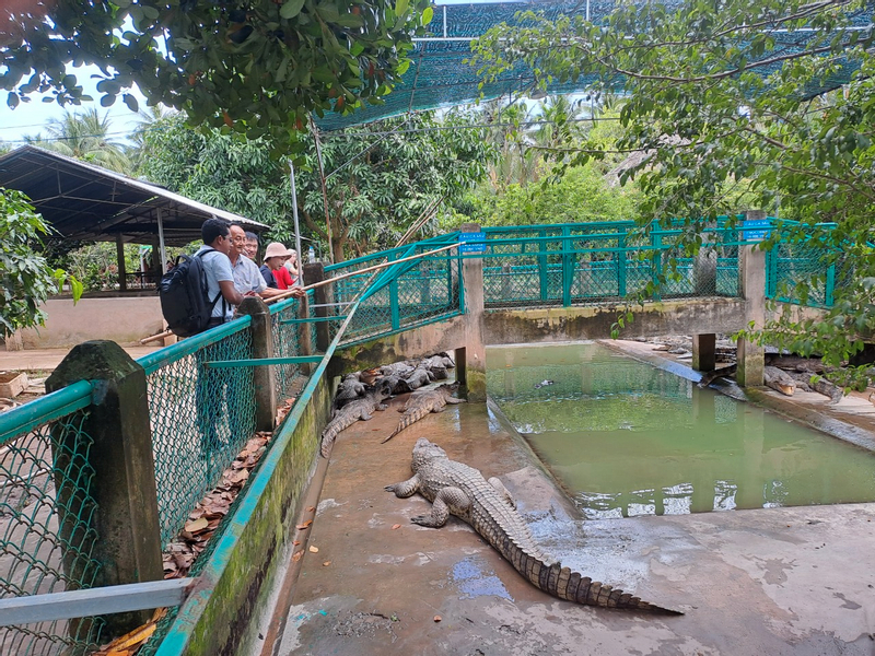 Mekong Delta Day Tour from Ho Chi Minh with Luxury Limousine Options Mt4Z2XKr