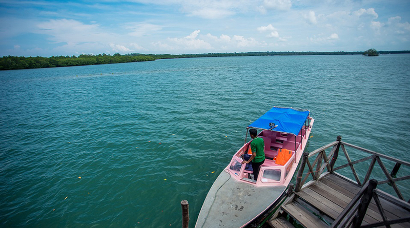 Bintan Mangrove / Fireflies Tour 6Pz58RPr