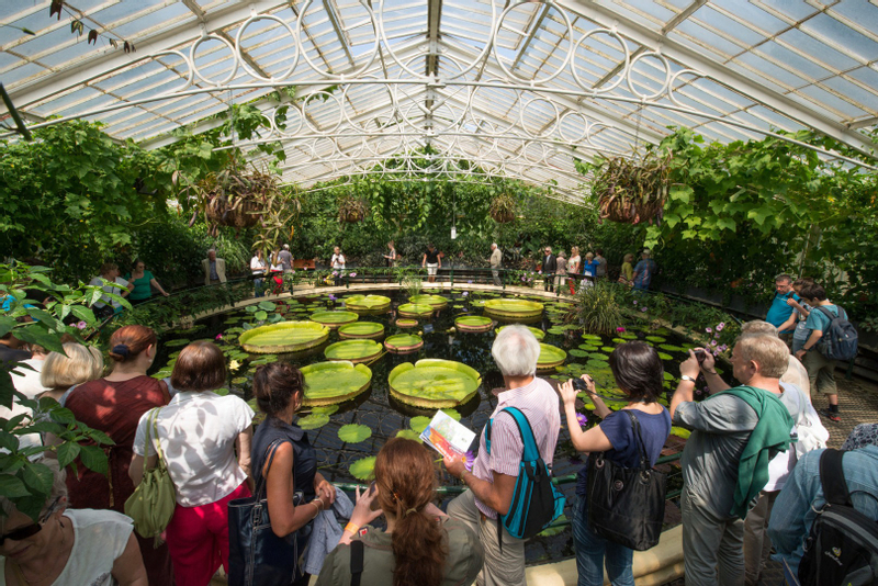 Royal Botanic Gardens Ticket in Kew Gardens BBVFJJyX