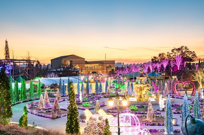 Gyeonggi-do Paju First Garden Star Light Garden One Day Tour (From Seoul) hbSIRUT3