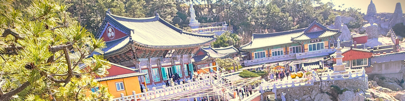 Busan Highlights: Small Group, Hotel Pickup & Sky Capsule AouSml3o