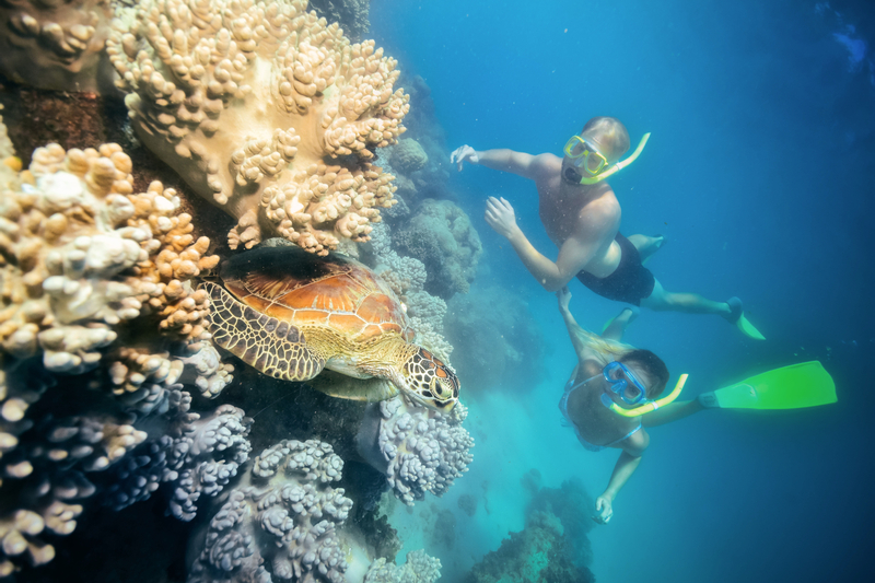 Green Island Snorkelling & Glass Bottom Boat Day Tour RksUvGSw