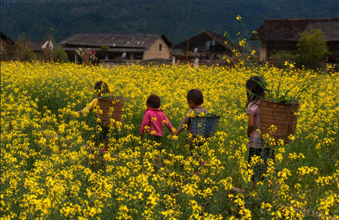 4D3N Explore Ha Giang Loop by Easy Rider from Ha Noi - Private Room BJiveV6s