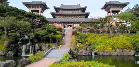 Jeju VIP Private Day Tour  (East/West/South/North) pd33sQfe