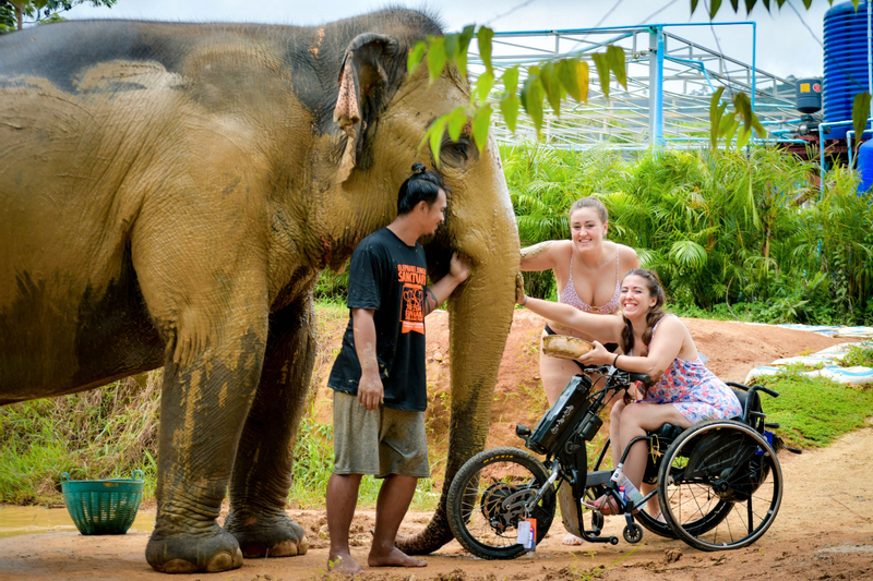 Elephant Jungle Sanctuary Pattaya Experience mwMcdJrm