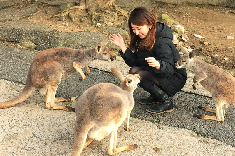 Akiyoshidai Nature Zoo Safari Land Admission in Mine 2GDjX4JT