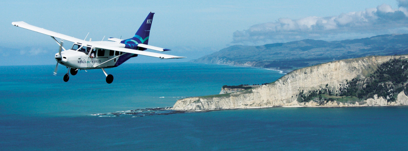 Kaikoura Wings Over Whales  Vu6Vcsxm