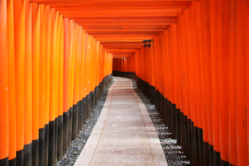 Kyoto Day Tour from Kyoto or Osaka 4T7uoWoT