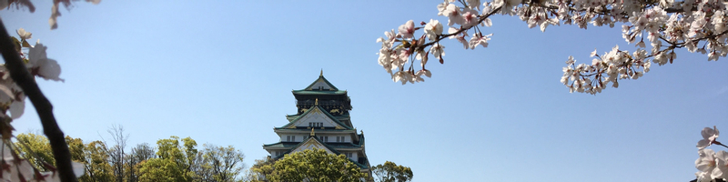 Osaka City, Sumiyoshi Taisha, Shitenno-ji, & Osaka Castle Day Tour q6FCFGDh
