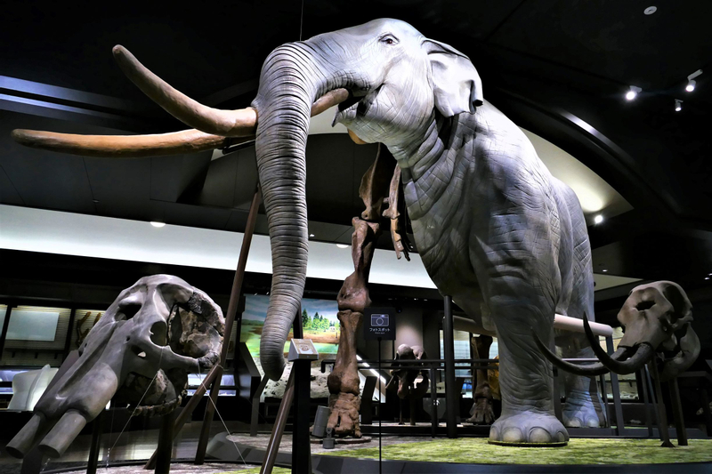 Lake Biwa Museum Adimission in Shiga x1WzVI9T