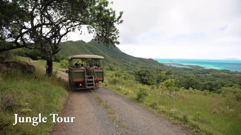 Kaneohe Hakipu u Rainforest Jungle Expedition 39ca4q6f