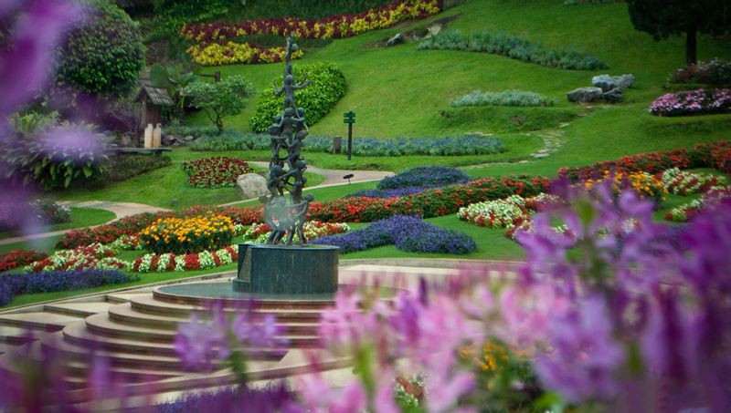 Wat Phra That Doi Tung and Doi Tung Royal Villa Half Day Tour from Chiang Rai os5oD8MG