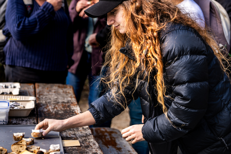 Bruny Island Food, Sightseeing and Exclusive Lighthouse Tour  NlGRC6jn