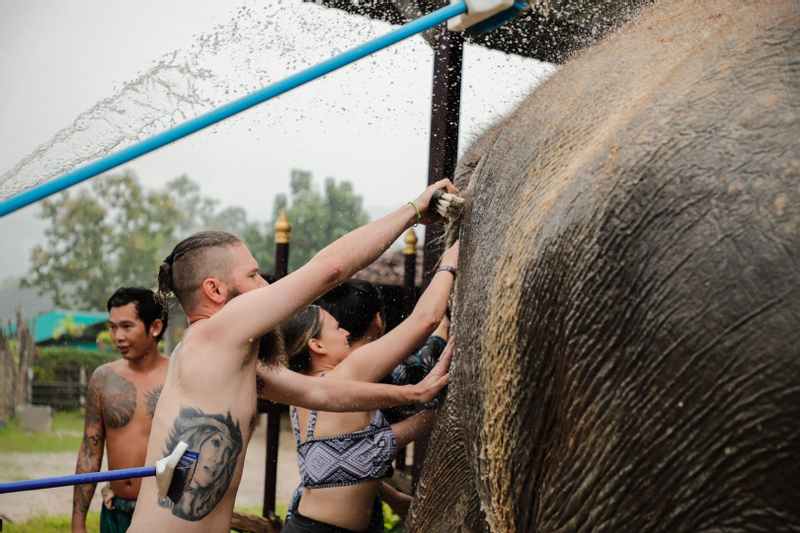 Elephant Jungle Sanctuary Experience in Koh Samui 3ugGwNYP