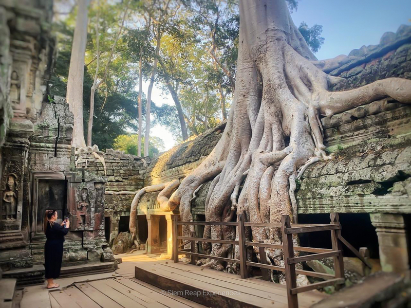 Angkor Wat Private Sunrise Day Tour cg0c7P6Q