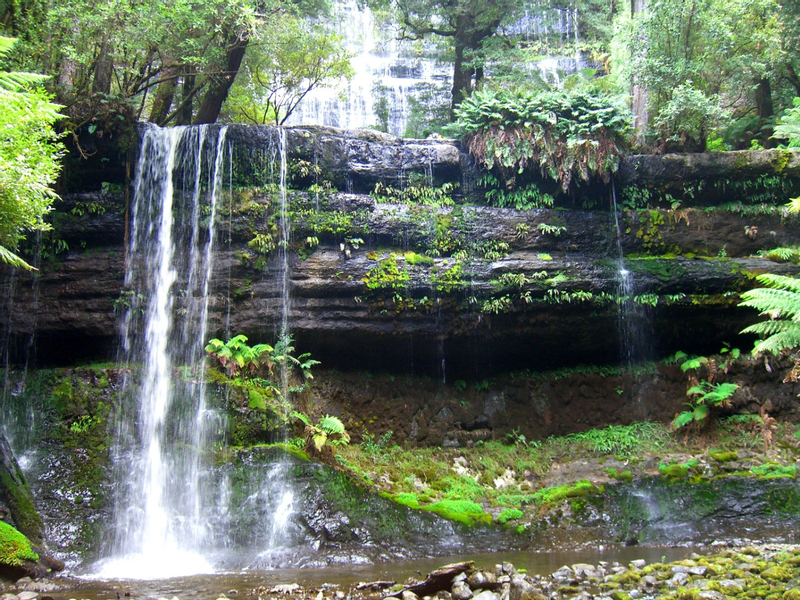 Russell Falls and Bonorong Wildlife Sanctuary Day Tour from Hobart 7fXOLLYI