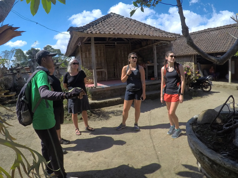 Bike Tour in Tegalalang with Lunch wmCYIFdL
