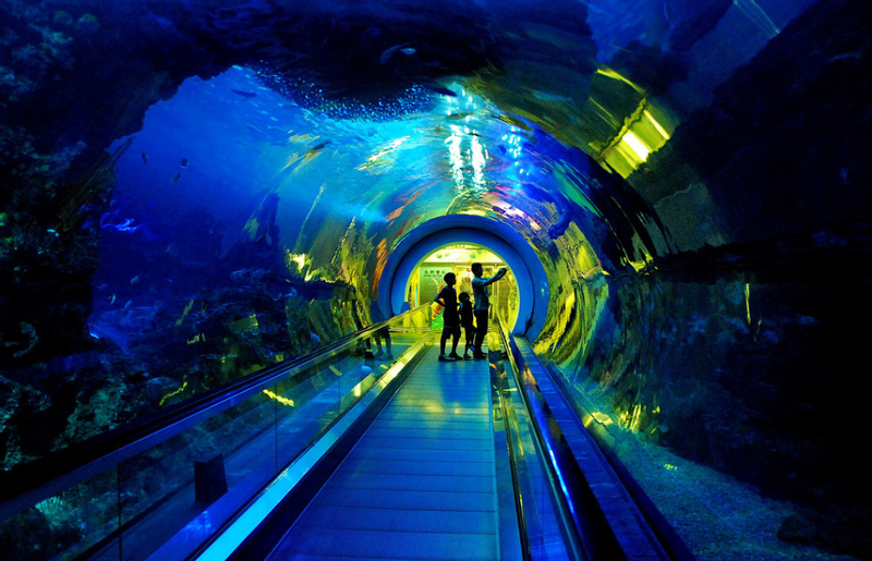 Kaohsiung Departure: Kenting Car Rental with Driver to National Museum of Marine Biology and Aquarium/Eluanbi Cape Lighthouse/Maobitou Park/Kenting National Park kS6rQdSg