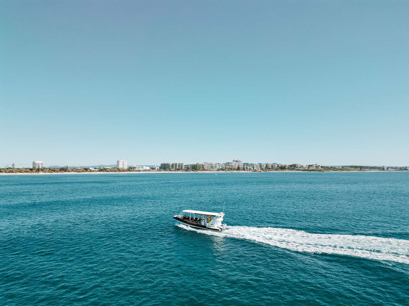 2 Hour Mooloolaba Whale Watching Experience VralFpmd