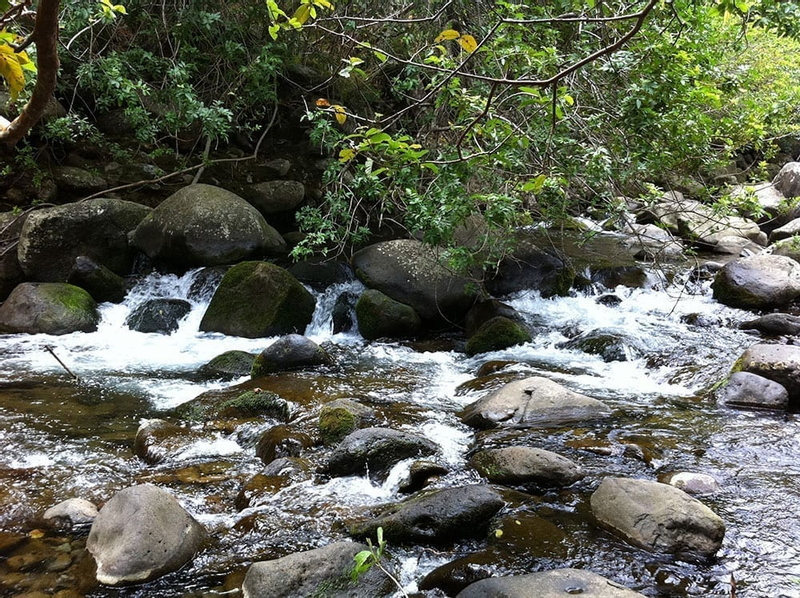 Best of Maui: Sips, Sites & Bites FdnKSmBR