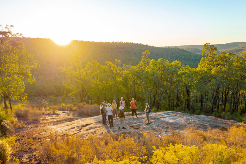 Perth Hills Ultimate Guided Hike 76Pv6SdF