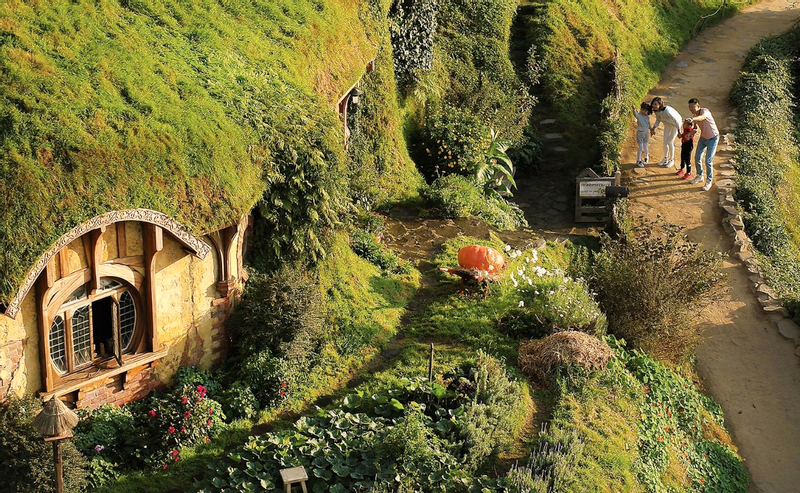 Auckland to Rotorua: Hobbiton & Waitomo Tour with Picnic Lunch ASh2jzXi
