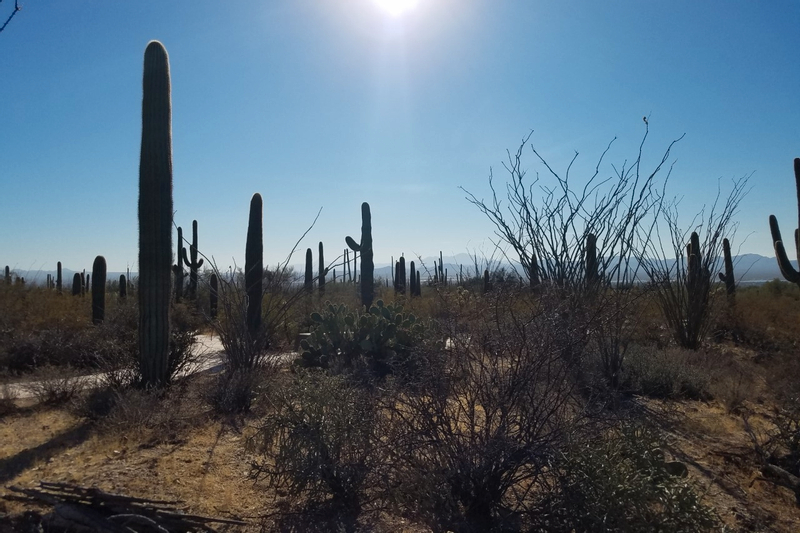 Tombstone and Bisbee Day Trip from Scottsdale and Phoenix g9Lqpn4y