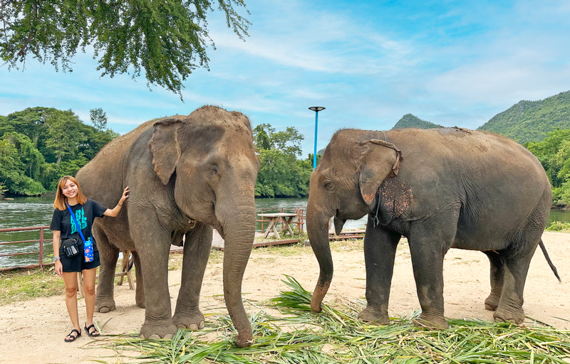 Kanchanaburi Elephant World Private Transfer From Bangkok			 IX42ylLa