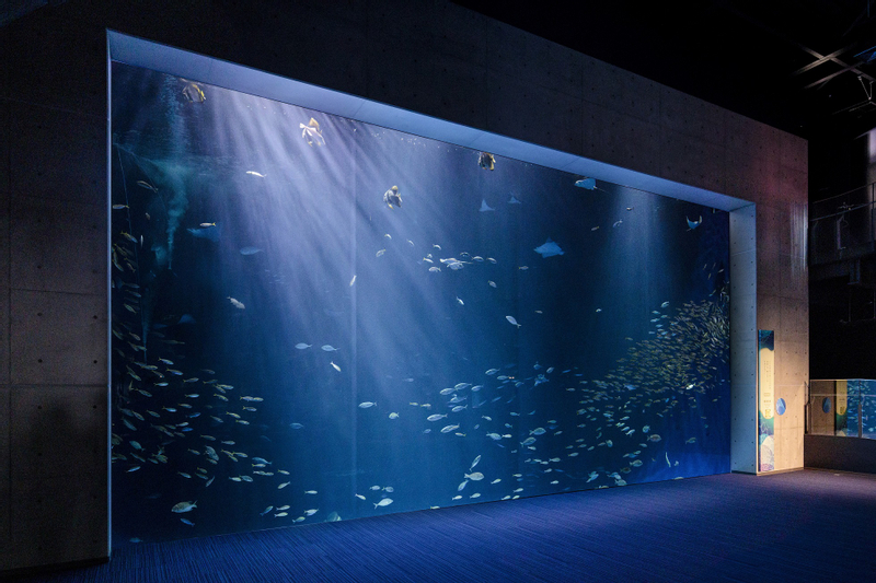 Shikoku Aquarium Ticket 6wPtmQ8g