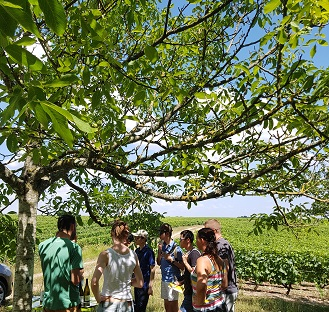 Loire Valley Day Tour: Villandry, Azay-le-Rideau & Vouvray wineries bfZCB68P