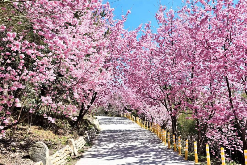 One-day cultural tour of Smangus, Hsinchu wvbGS245